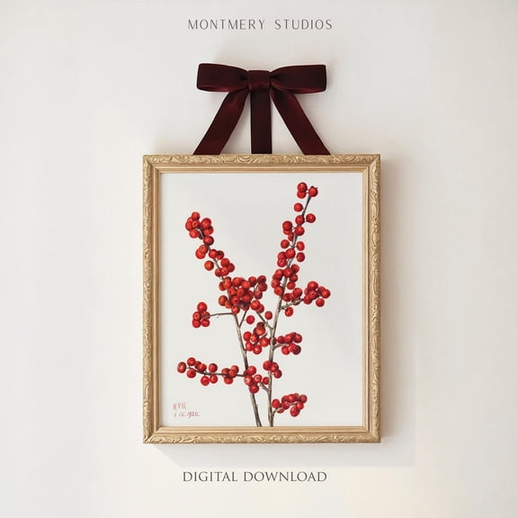 Winterberry Art , Vintage Winterberry Holly, Winter Botanical Print Poster, Minimalist Red Berries Art, W154, Unframed Canvas Size 16x24 F03.1.19l307