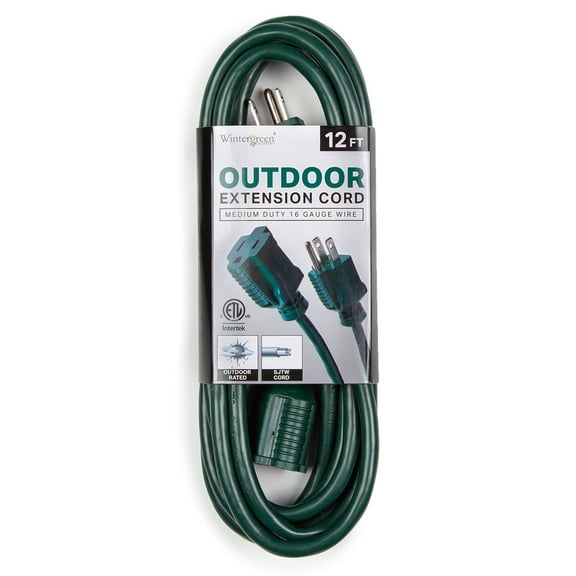 Wintergreen Lighting 16 Gauge 12ft Green 1 Outlet Medium Duty Extension Cord