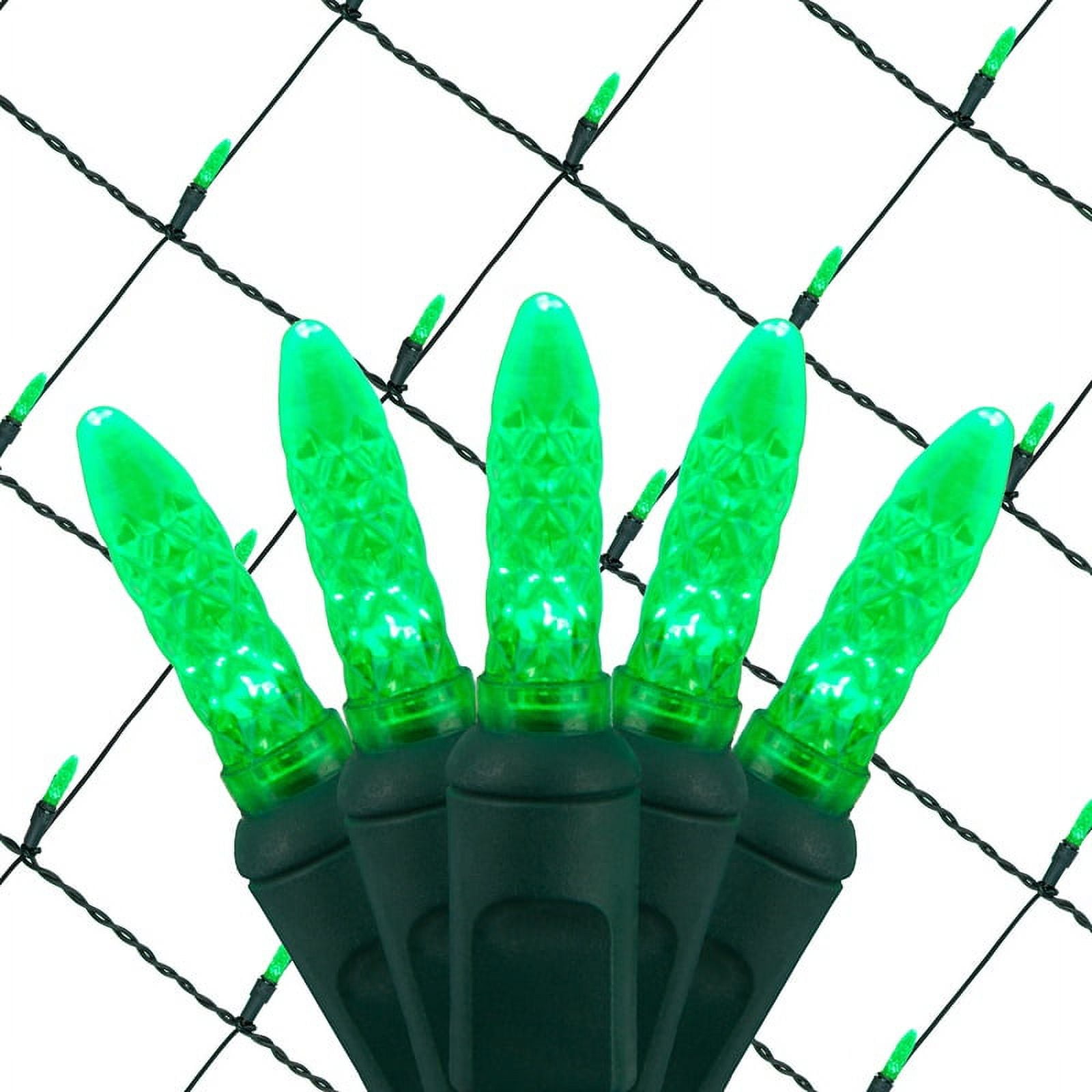 Wintergreen Lighting 4' x 6' Green Christmas Net Lights Set, Mesh