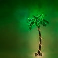 Wintergreen 5 Ft. MultiFunction LED Palm Tree, Indoor/Outdoor Use