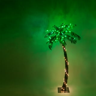 https://i5.walmartimages.com/seo/Wintergreen-Lighting-5-Ft-Multi-Function-Lighted-Palm-Tree-with-104-LED-Lights-Remote-Control-Indoor-Covered-Outdoor-Use_1e741605-62dd-45cb-a682-51841c9e4415_1.c5f5dc4f319d0fdd7fd0c43fd647ad7d.jpeg?odnHeight=320&odnWidth=320&odnBg=FFFFFF