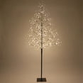 thumbnail image 1 of Wintergreen Lighting 6 Ft Black Fairy Light Tree, Warm White LED Lights Indoor Home Decor, 1 of 8