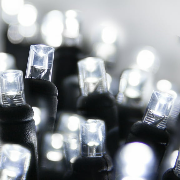 Wintergreen Lighting 70 LED Halloween Decoration String Lights 24', Indoor Outdoor Black Wire