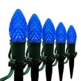 thumbnail image 1 of Wintergreen Lighting C7 Blue OptiCore Faceted LED Pathway Light Kit, 25 Lights, 12" Spacing, Green Wire, 25 ft, 1 of 8