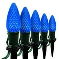 thumbnail image 1 of Wintergreen Lighting C9 Blue OptiCore Faceted LED Christmas Pathway Light Kit, 100 Lights, 12" Spacing, Green Wire, 100 ft, 1 of 8