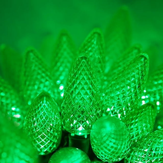 Wintergreen Lighting C9 Green Christmas Lights LED String Lights, Set