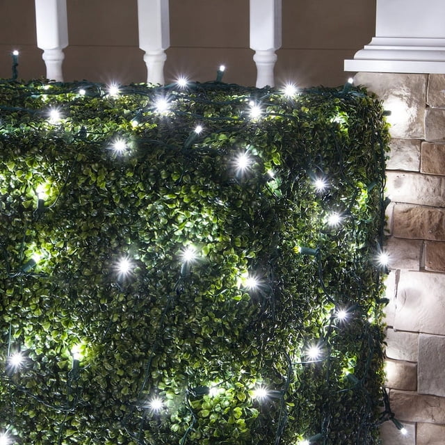 Wintergreen Lighting LED Net Lights, Cool White, 100 5mm, 4'x6', Energy ...