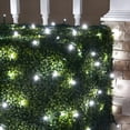 thumbnail image 1 of Wintergreen Lighting Cool White Twinkle Net Lights LED Mesh Lights Christmas String Lights, 4' x 6', 100 Lights - Green Wire, 1 of 7
