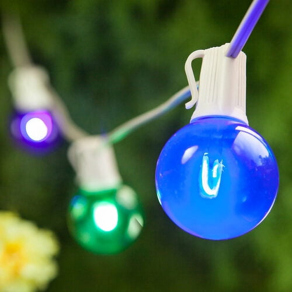 Wintergreen Lighting FlexFilament Edison Bulb Shatterproof G50 Multicolor Outdoor String Lights, 10 ft, 10 Lights