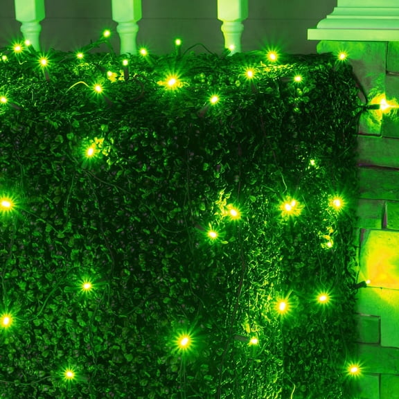 Wintergreen Lighting Green Net Lights LED Mesh Lights Christmas String Lights, 4' x 6', 100 Lights - Green Wire