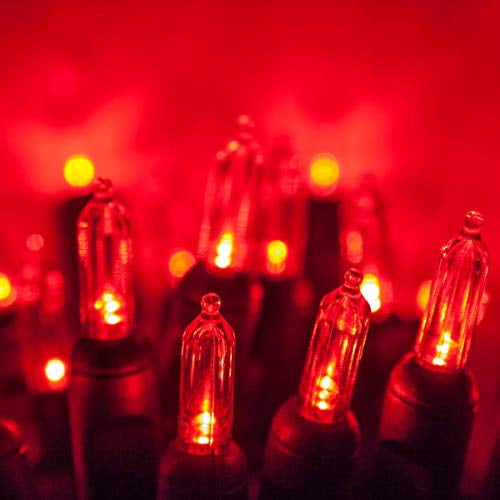 Wintergreen Lighting LED Christmas Tree Lights, T5 Mini Lights, LED String Lights, Christmas String Lights, 50 Lights, Green Wire