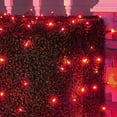 Wintergreen Lighting Holiday LED Net Lights, Red Mesh Christmas String