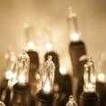 thumbnail image 1 of Wintergreen Lighting T5 LED Mini Lights Brown Wire Christmas Lights, Brown Wired Clear Mini Lights, LED Christmas Lights, 50 Lights, 1 of 8