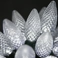 thumbnail image 1 of Wintergreen Lighting White LED String Lights Holiday Lightings, 17' (25 Count), 1 of 7
