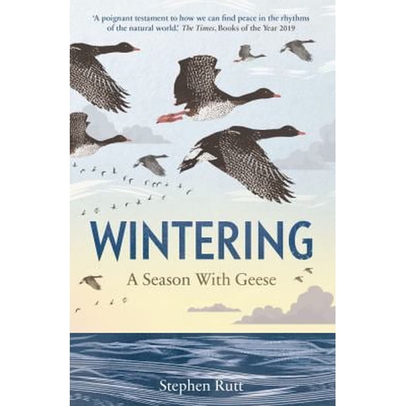 Pre-Owned Wintering: A Season With Geese (Paperback) by Stephen Rutt