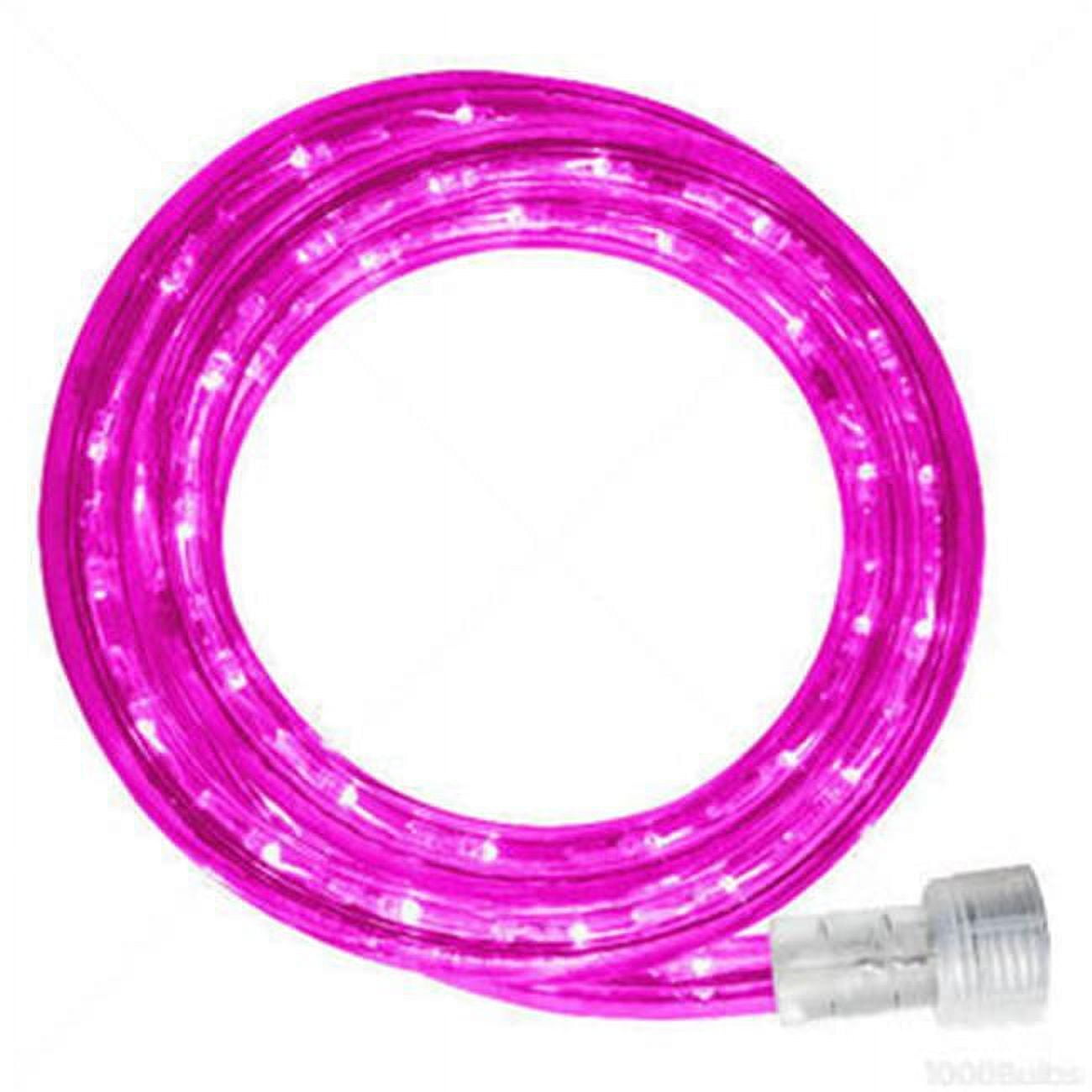 Winterland C-ROPE-LED-PI-1-10-18 10 mm. Spool Of Pink LED Ropelight- 18 ...