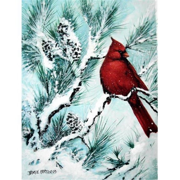 Winters Glory Redbird 1 Northern Cardinal Flag Canvas House Size