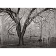 thumbnail image 1 of Winters Palace VI BandW Poster Print by Vitaly Geyman (9 x 12), 1 of 1