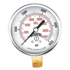 Winters Pem292 Commercial Pressure Gauge, 0 To 5,000 Psi, 2 1/2 In Dial, 1/4 In