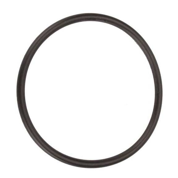 Winters Performance 7406 Bearing Cap O-Ring