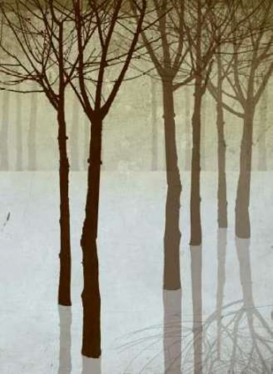 Winters Silhoette I Canvas Art - Steve Butler (18 x 24)