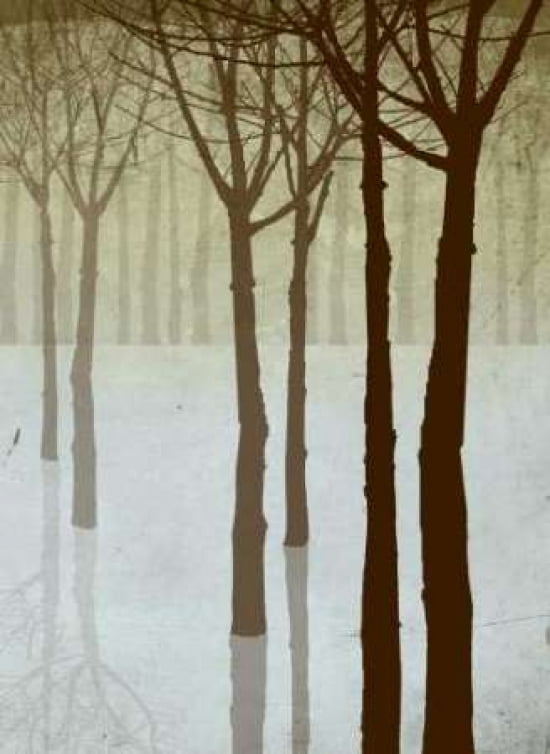 Winters Silhoette II Canvas Art - Steve Butler (18 x 24)