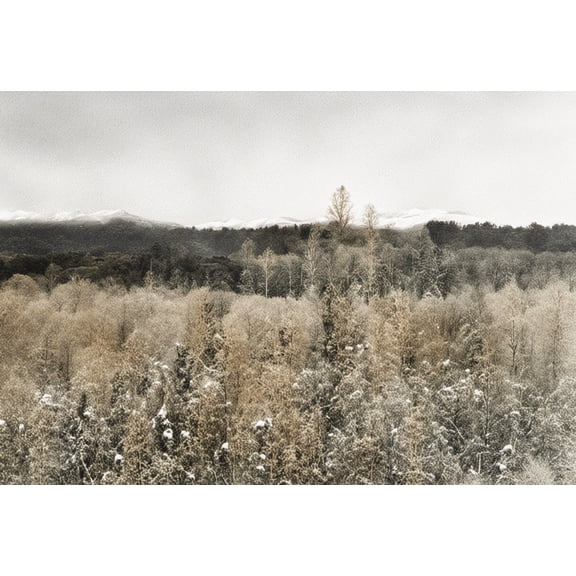 Wintery Landscape Digital Painting - 12" x 18" Art Print Wall Decor