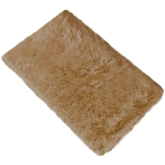 Winty Small Area Rugs,Outdoor Mat Non Slip Doormat,Wool Imitation Sheepskin Rugs Faux Non Slip Bedroom Shaggy Carpet Mats