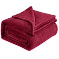 thumbnail image 1 of Winty Throw Blanket for Couch Sofa,Bed Blankets for Bed,Super Soft and Warm Throw Blanket for Couch, Sofa and Bed Cozy, Fuzzy and Lightweight,70X100Cm, 1 of 9