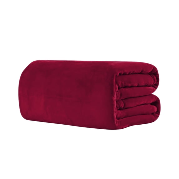 Winty Throw Blanket for Couch Sofa,Bed Blankets for Bed,Super Soft and Warm Throw Blanket for Couch, Sofa and Bed Cozy, Fuzzy and Lightweight,50X70Cm