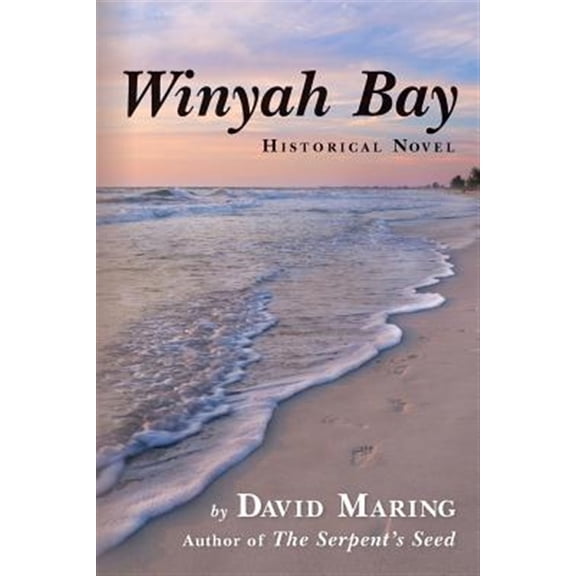 Winyah Bay (Paperback) by David Maring