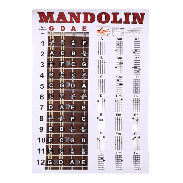 Winyuyby Mandolin Poster Chart Chord Musical Trainning Instrument Guide
