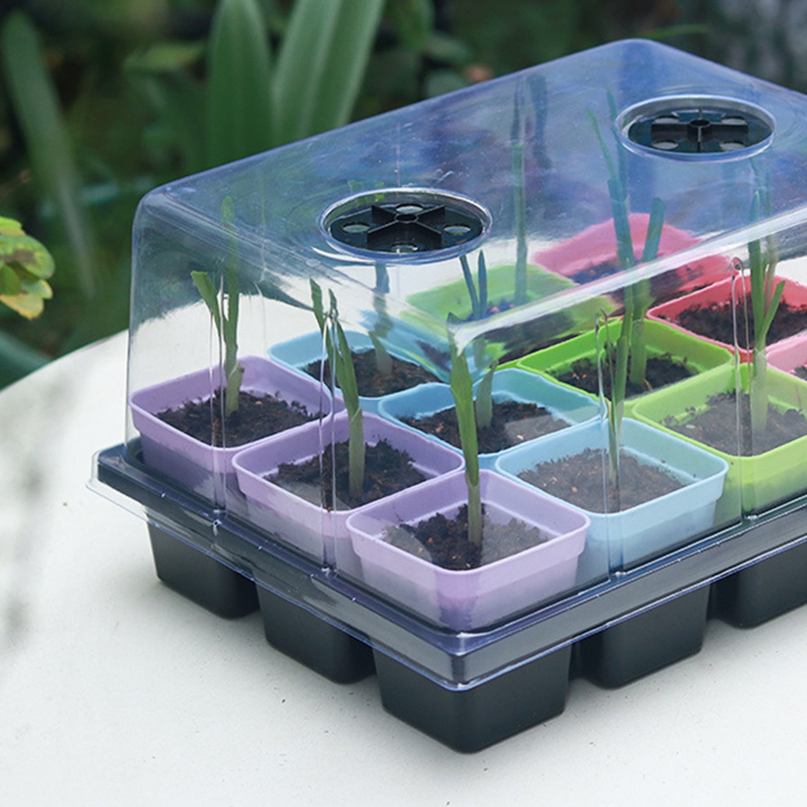 Wioihee Seed Tray Seedling Kits,Plant Kit with Humidity Dome and Base