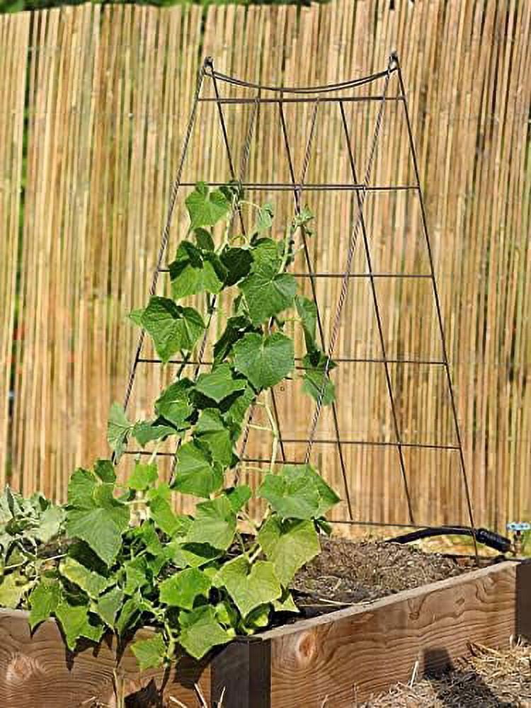 Wire A-Frame Trellis, Strong and Sturdy Metal Outdoor Garden Trellis Plant  Support for Cucumbers, Squash, Vine Herbs & Other Climbing Plants