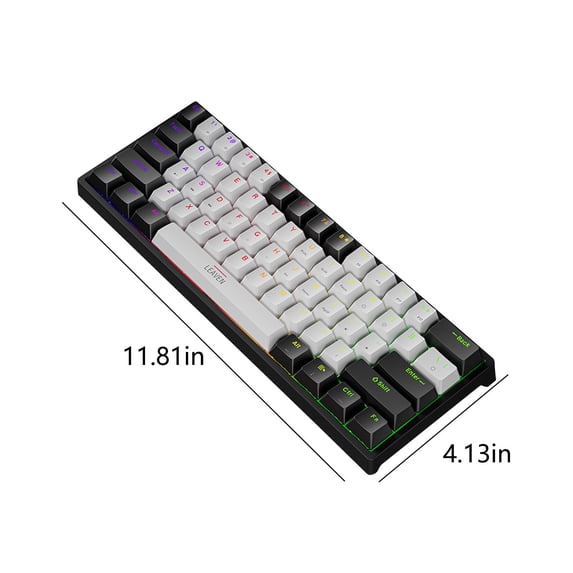 Wired 60 Mechanical Gaming Keyboard, RGB Backlit Compact 61 Keys Keyboard with Blue Switches for PC