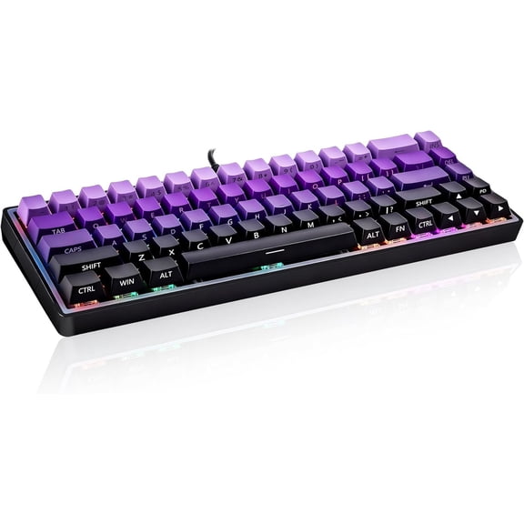 Wired 65% Mechanical Gaming Keyboard, Gradient PBT Keycaps RGB Backlit Compact Mini Keyboard, Portable Gaming Keyboard for PC Laptop Desktop Gamers Office Work