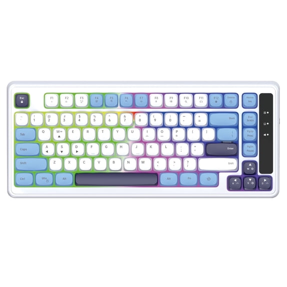 Wired Gaming Keyboard, RGB Backlit Keyboard with Gasket Structure, USB C Mechanical Keyboard with FN+ Multi-function Combination, Computer Keyboard for PC Laptop Mac Gamers, White