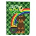 thumbnail image 1 of Wirehair Chocolate and Tan Dachshund St. Patricks Day Flag Garden Size, 1 of 3