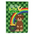 thumbnail image 1 of Wirehair Red and Tan Dachshund St. Patricks Day Flag Garden Size, 1 of 3