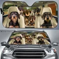 thumbnail image 1 of Wirehaired Dachshund Car Sun Shade,Dogs Windshield,Dogs Family Sunshade,Dog Car Accessories,Car Decoration,Gift for Dad, 1 of 3