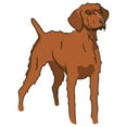 thumbnail image 1 of Wirehaired Vizsla Decal | Indoor/Outdoor | Dog Lover Super Cute Sticker for SUV Windows, Dorm Rooms, Bedroom, Offices | SignMission personalized gift | 36", 1 of 2