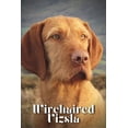 thumbnail image 1 of Wirehaired Vizsla : Dog breed overview and guide (Paperback), 1 of 1