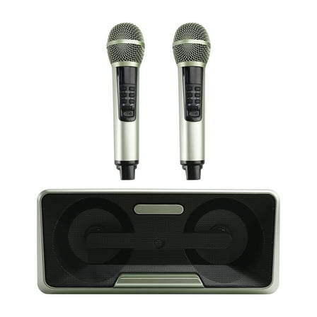 Wireless Bluetooth Dual Microphone Karaoke All-In-One Speaker for Home Outdoor