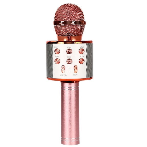 Wireless Bluetooth Karaoke Microphone, 5 Voice Changer,Portable Handheld Mic for Home Party