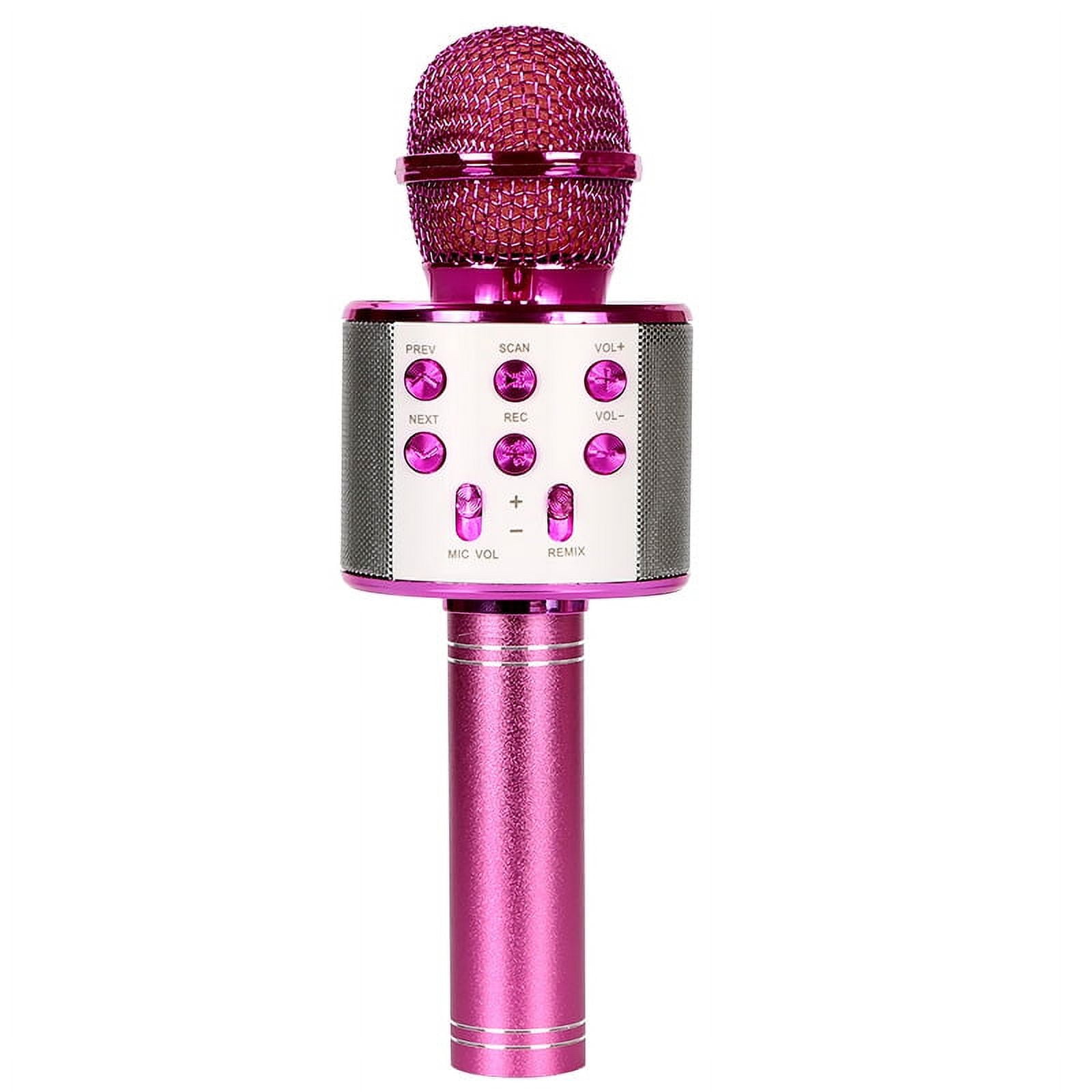 Karaoke Microphone For Kids,FISHOAKY 4 In 1 Portable Wireless Bluetooth