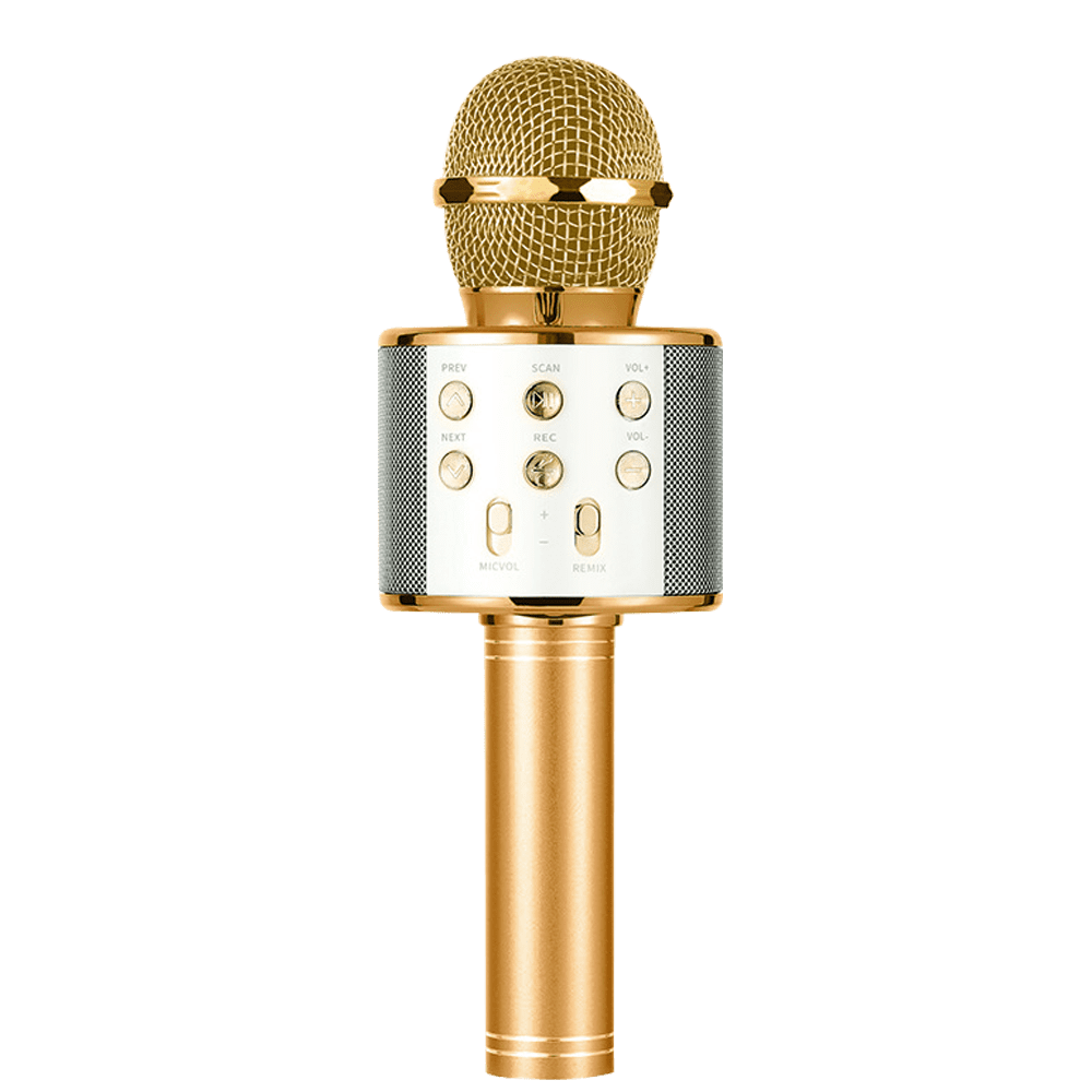 Wireless Bluetooth Karaoke Microphone for Kids, 5in1 Portable