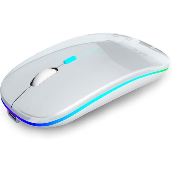 Wireless Bluetooth Mouse Rechargeable Laptop Mice with LED Use Portable(BT5.2 and USB 2.4G) Dual Mode Connection Silent Slim Computer Mouse for Laptop/iPad Tablet/Apple MacBook/PC,Space Silver