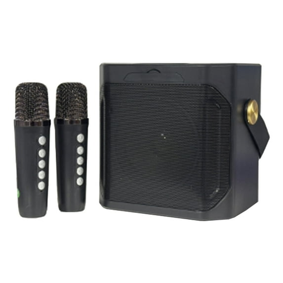 VIPQV Karaoke Machine, Portable Bluetooth Karaoke Speaker with 2 Wireless Microphones, Dual Microphone Chorus, Supports TWS/TF/USB/AUX, Home Party and Outdoor Entertainment, Black