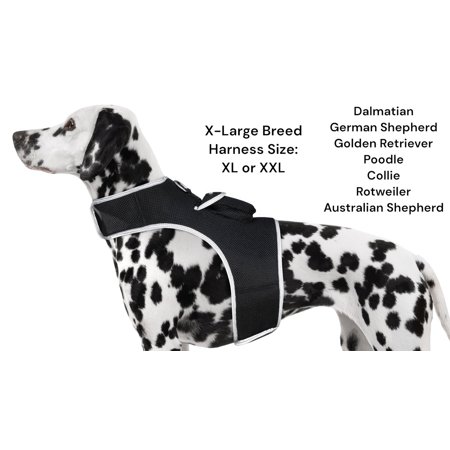 Pet Realtime Security w/ Pet Tracker GPS Tracking Chip for Dogs + App Size:XL