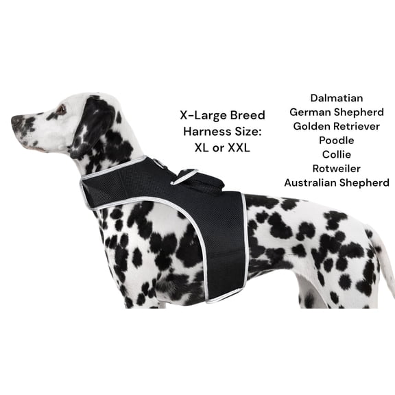 Pet Realtime Security w/ Pet Tracker GPS Tracking Chip for Dogs + App Size:XL